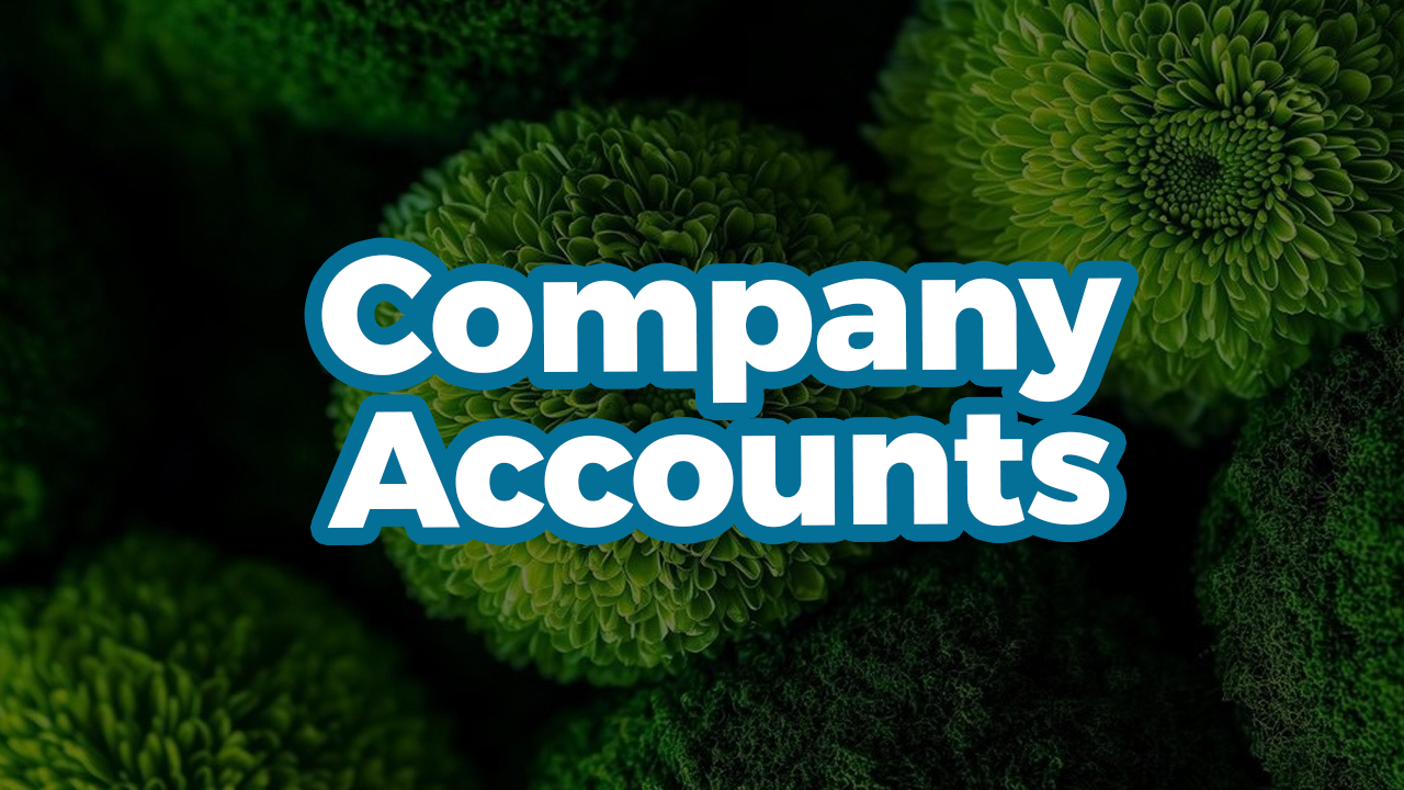 Company Accounts