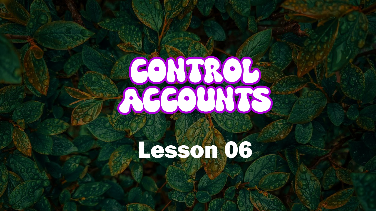 Control Accounts